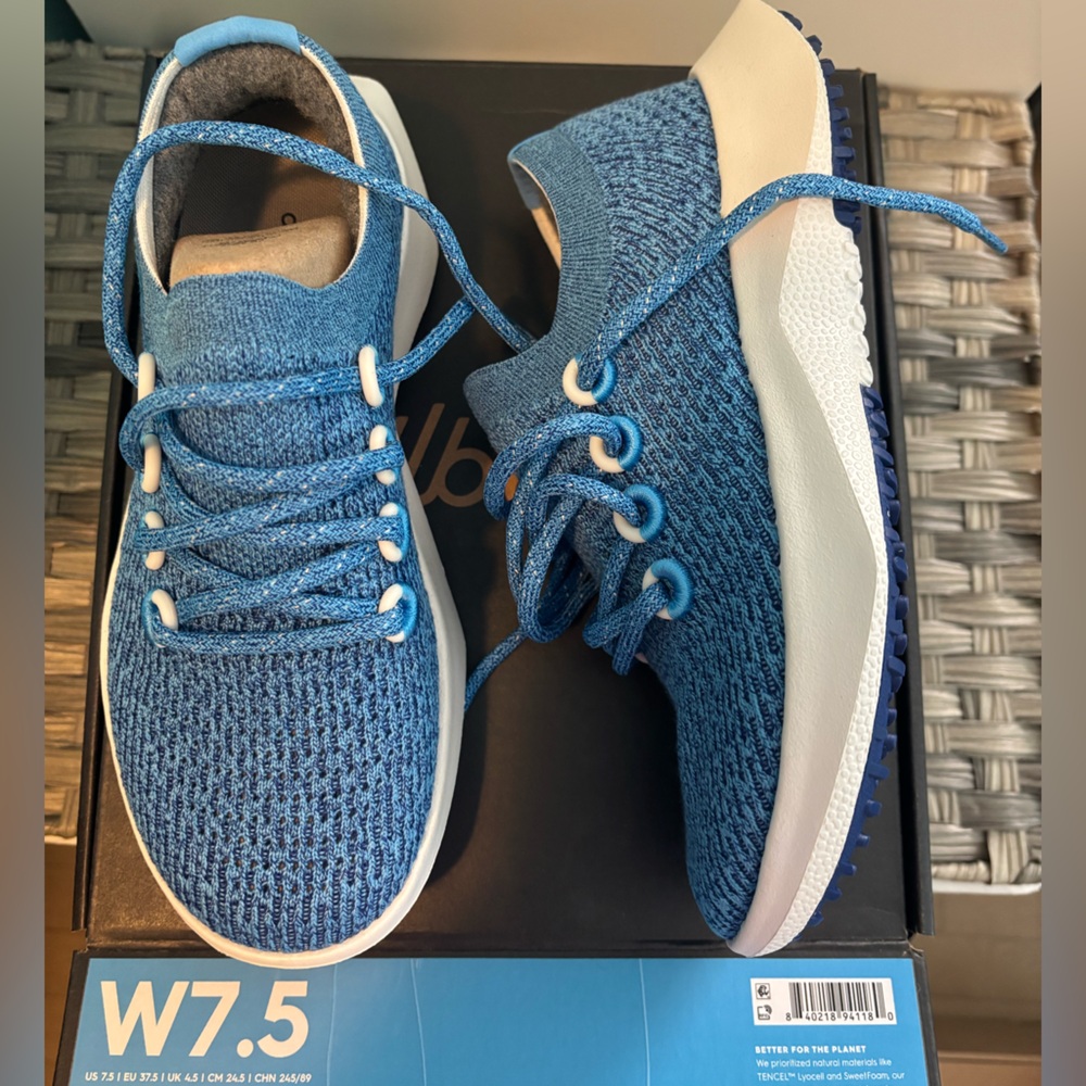 Allbirds tree dasher blue new